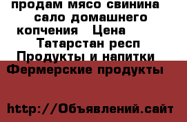 продам мясо свинина.  сало домашнего копчения › Цена ­ 250 - Татарстан респ. Продукты и напитки » Фермерские продукты   